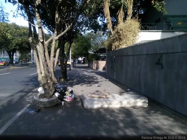 Barrerismo en circulación peatonal