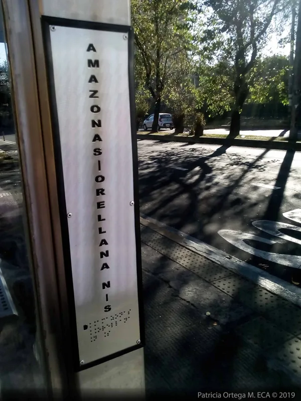 Texto Braille en parada de bus, información accesible